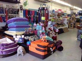 Their well-stocked store, Innisfail Aquarium & Bird Centre - Innisfail