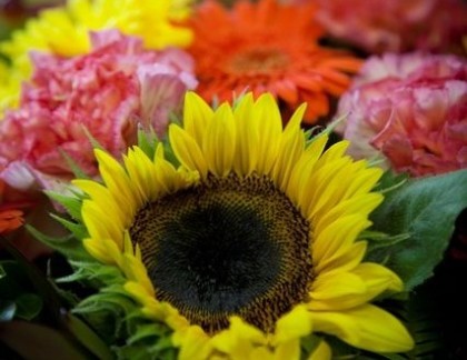Bright and beautiful arrangement, Blissful Blooms Florist - Emerald