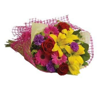 Bright and attractive, Flowerbarn - Gosford