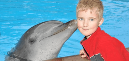 Enjoy a dolphin kiss, Dolphin Magic Marine - Coffs Harbour