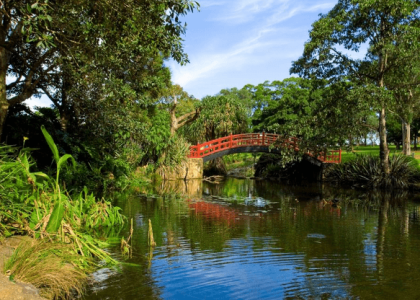Wollongong Botanic Gardens - Wollongong