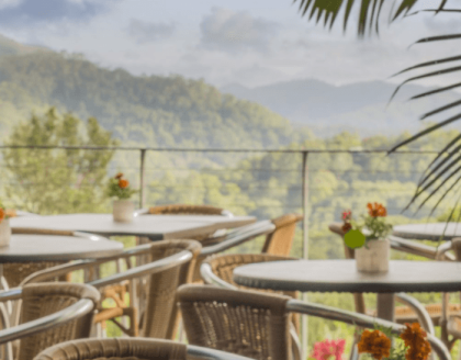 Gorgeous views, The Lotus Cafe - Northern Rivers