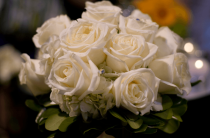 A bunch of classic white roses 