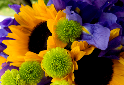 A splash of deep colour paired with light sunflowers is the perfect mix! 