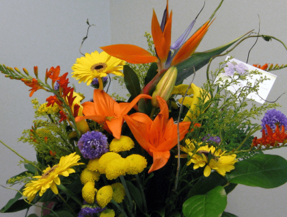 Birds of paradise are the perfect flower for a bright and beautiful, tropical arrangement!