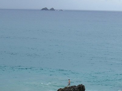 Brave the ocean for some amazing snorkelling experiences, Julian Rocks Marine Reserve - Julian Rocks