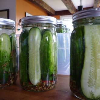 jars filled with dill pickles