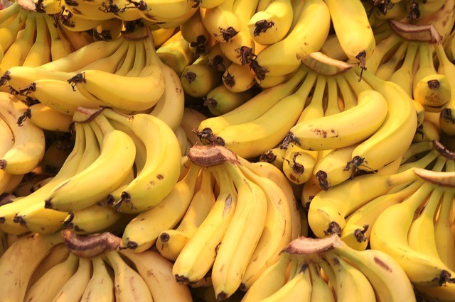 Bananas - stock image