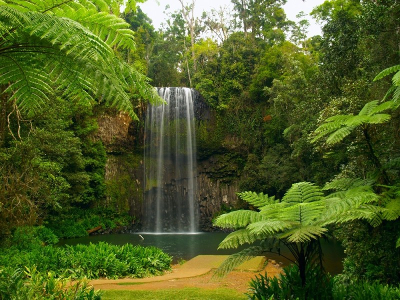 Explore Tropical Far North Queensland: Tablelands & Cairns