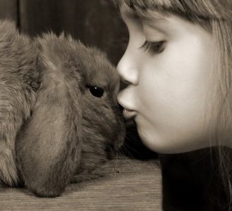 Girl kissing bunny on head
