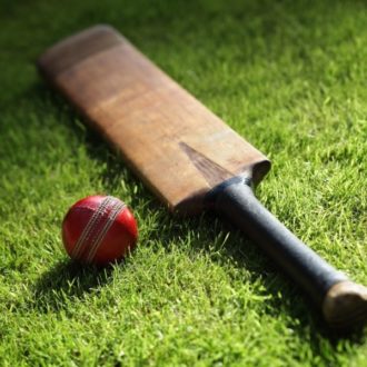 Cricket bat and ball on turf