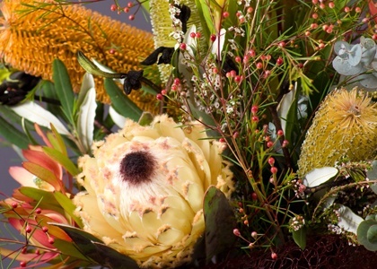 Australian Native Flower arrangement