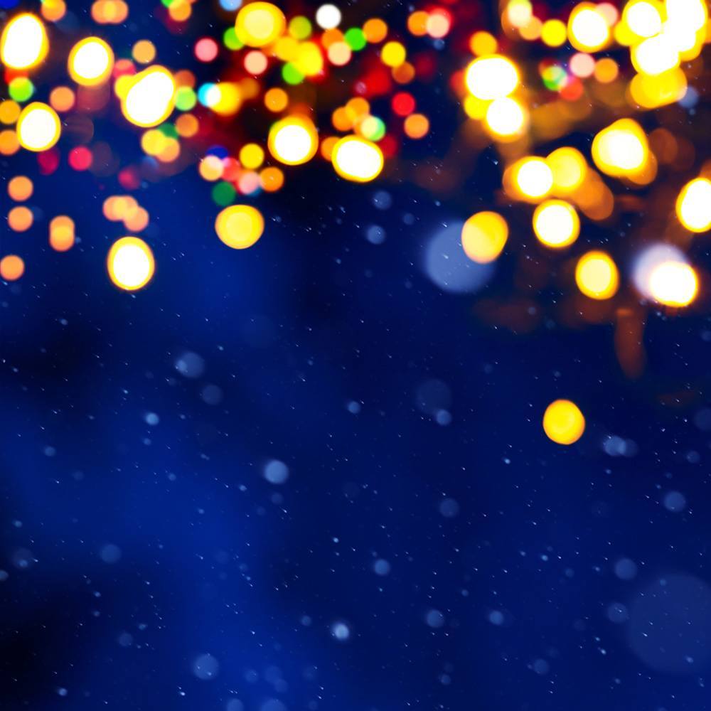 Christmas Carols in Maitland 2015