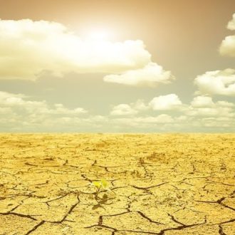 Drought in desert