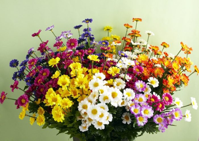 Arrangement de fleurs colorées