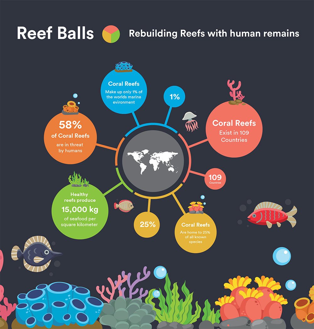 Coral Reef Burial Infographic