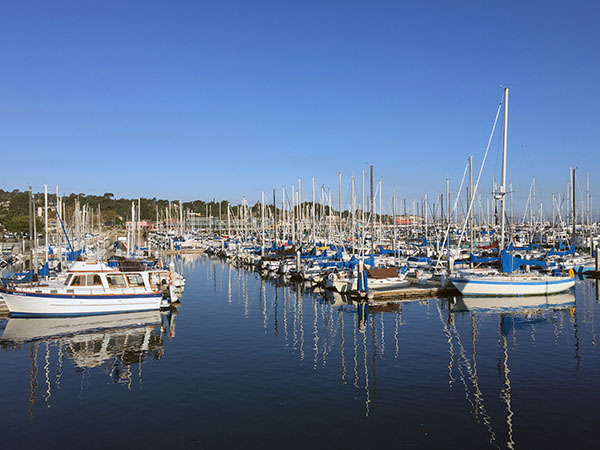 Marina with many boats