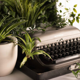 Indoor plants and business typewriter