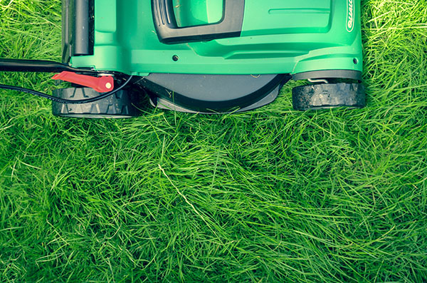 lawn mower and long grass