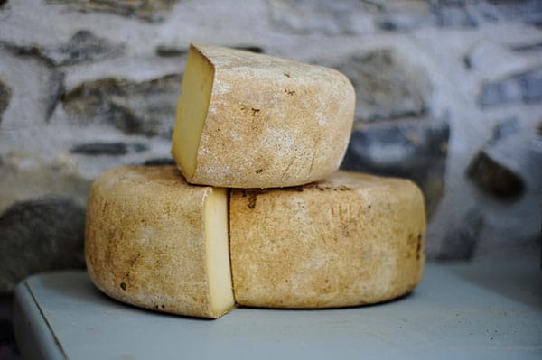 Blocks of yellow parmigiano cheese