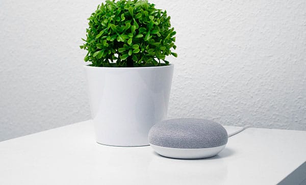 google home mini on bedside table with plant