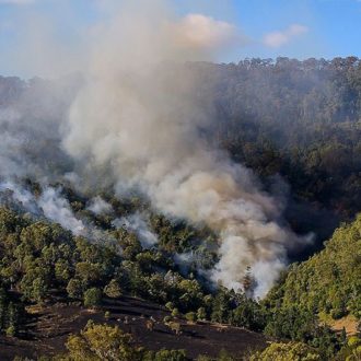 Australian Bushfire Survival Plan